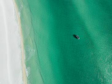 Honda Marine BF200 AMS Lifestyle Avalon Environ-01