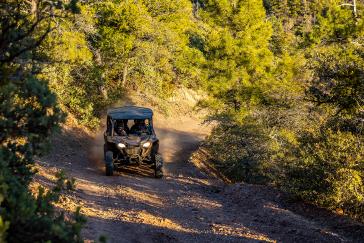 2022 Honda Talon 1000X-4 action