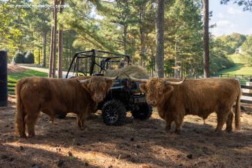 2025 Honda Pioneer 1000 Trail