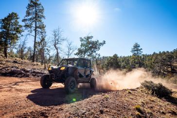 2022 Honda Talon 1000X-4 action