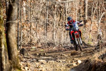 2025 Honda CRF300L Rally