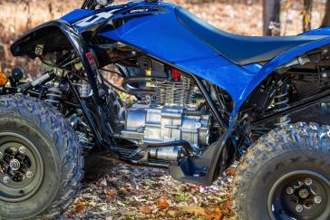 Honda TRX250X