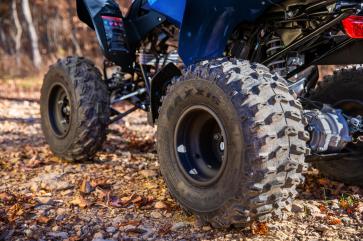 Honda TRX250X