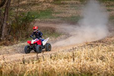 2025 Honda TRX250X