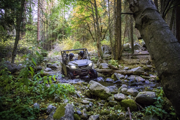 2017 Honda Pioneer 1000 LE