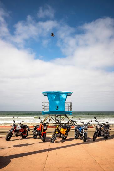 2025 Honda miniMOTO family