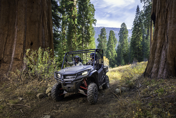 2017 Honda Pioneer 1000 LE