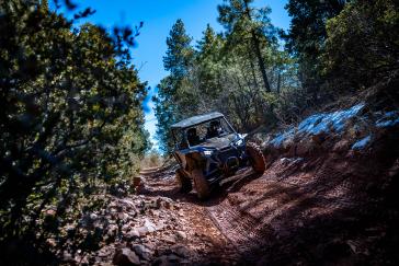 2022 Honda Talon 1000X-4 FOXLiveValve action