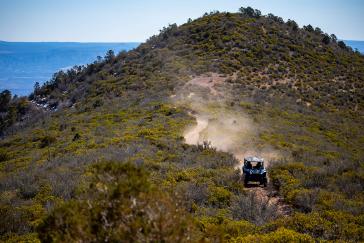 2022 Honda Talon 1000X-4 FOXLiveValve action