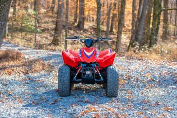 Honda TRX90X