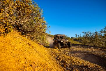 2022 Honda Talon 1000X-4 action