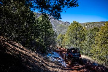 2022 Honda Talon 1000X-4FOXLiveValve action