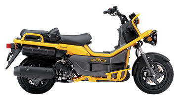 Big Ruckus Scooter
