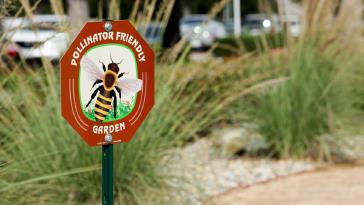 A new pollinator garden increases biodiversity by creating habitats for birds, bees and butterflies while offering Honda associates a space to reconnect with nature.