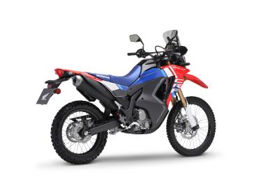 2025 Honda CRF300L Rally