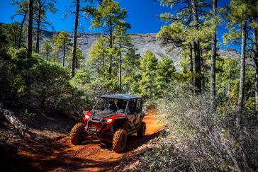 2022 Honda Talon 1000X-4FOXLiveValve action