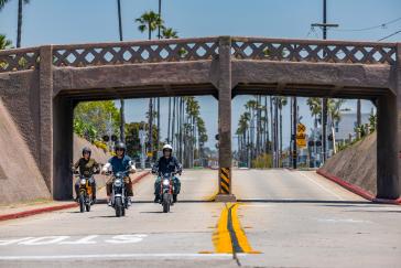 2025 Honda miniMOTO family