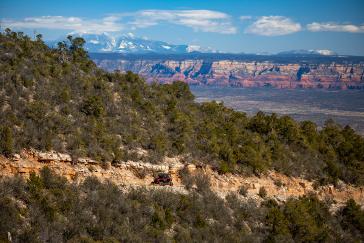 2022 Honda Talon 1000X-4FOXLiveValve action
