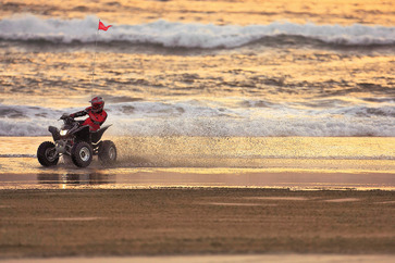 2006 Honda TRX250EX.
