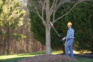 Honda VersAttach SSPP Pruner