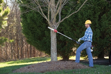 Honda VersAttach SSPP Pruner