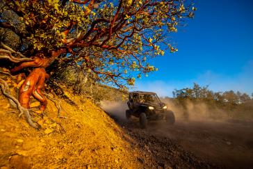 2022 Honda Talon 1000X-4 action