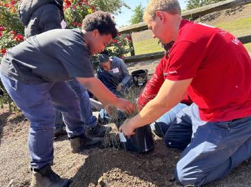 Honda associates volunteer to support and strengthen their local communities.