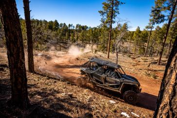 2022 Honda Talon 1000X-4 action