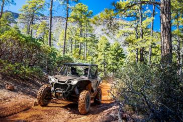 Honda Talon 1000 2-Seat