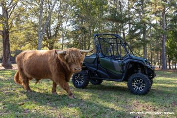2025 Honda Pioneer 1000 Trail