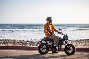 Honda Monkey Matte Black Metallic