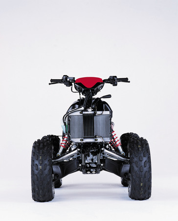 2003 Honda Fourtrax Rincon.
