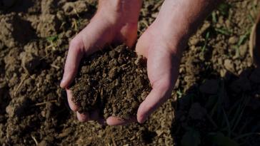 Through Carbon by Indigo, Honda is supporting the removal of 1,800 metric tons of carbon from the soil and helping farmers adopt regenerative practices that restore local ecosystems and improve soil health.