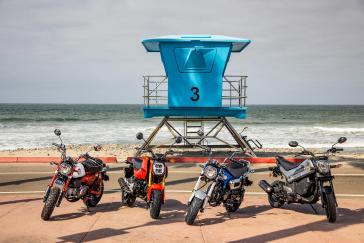 2025 Honda miniMOTO family