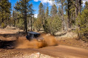 2022 Honda Talon 1000X-4 action