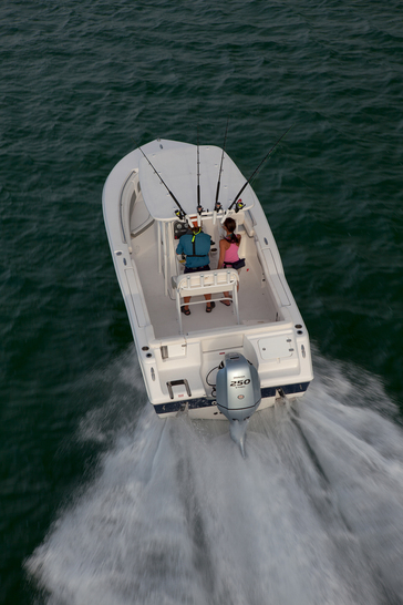 BF250 Tidewater