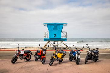 2025 Honda miniMOTO family