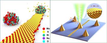 Scientists at Honda Research Institute USA, Inc. (HRI-US) have made a significant breakthrough in the fields of quantum materials and quantum communications by developing a novel method for growing atomically thin nanoribbons – one atom thick and tens of atoms wide ribbon-shaped materials – creating the potential for unbreakable secure communication of sensitive information. Left: Illustration of growth mechanism of width-controlled nanoribbon material one atom thick from the catalyst alloy. Right: Nanoribbon material is strained over cone-shaped probe and excited by laser, producing a stream of photons that can be used for encoding information.
(Figures courtesy of Ksenia Bets and Weibin Chen.)
