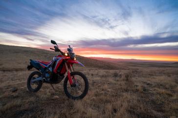 2021 Honda CRF300L Rally Static